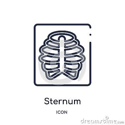 Linear Sternum Icon From Medical Outline Collection Thin Line Sternum