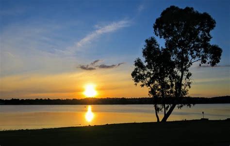 Lake Albert Wagga Wagga Updated 2020 All You Need To Know Before You