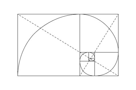 Vectores E Ilustraciones De Proporcion Aurea Cuadrada Para Descargar