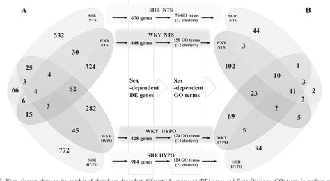 Figure From Trpv Involvement In The Sex Differences In Blood