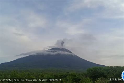 Gunung Ili Lewotolok Kembali Erupsi Hari Ini Lontarkan Abu Vulkanik