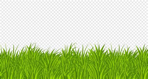 Green Grass Border Flat Style Design Cartoon Summer Green Grass Nature Landscape Field Vector