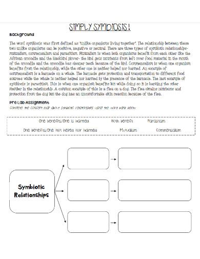 Symbiotic Relationship - Examples, Format, How to Identify, PDF