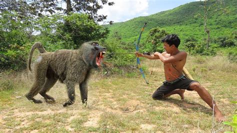 Tecnologia Primitiva Armadilha Criativa de Babuínos Usando Armadilhas