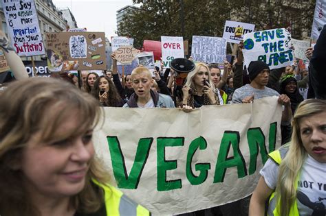 Why Do People Hate Vegans So Much Vox