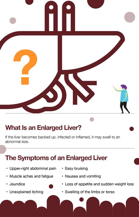 Enlarged Liver Symptoms Causes Complications Cures The Amino Company