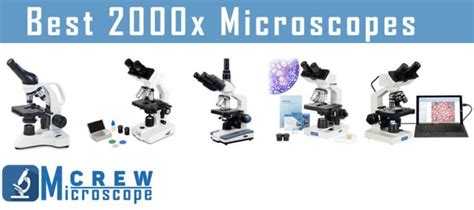 Best 2000x Magnification Microscopes - Microscope Crew