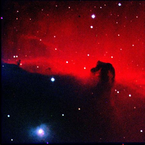 Stony Brook Undergraduate Astronomy Club