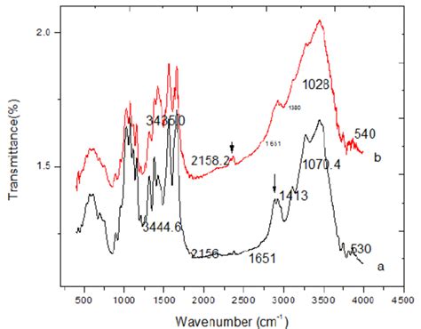 Ftir Spectra Of A Chitin And B Chitosan Download Scientific Diagram