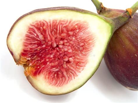 Brown Figs Close Up Stock Photo Image Of Brown Health 3454898