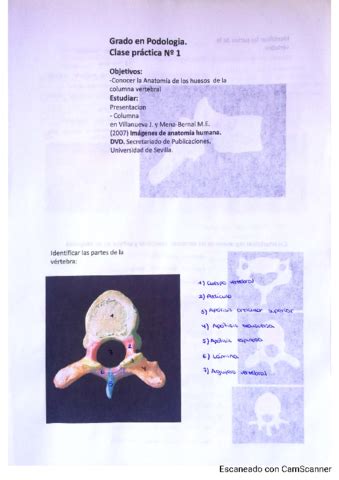 Cuaderno De Practicas Anatomia Especifica Pdf