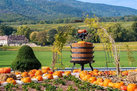 Halloween en France les 10 meilleurs endroits où aller pour fêter