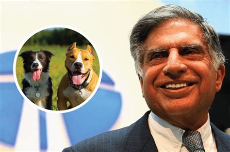 Ratan Tata To Inaugurate His Animal Hospital Project Soon