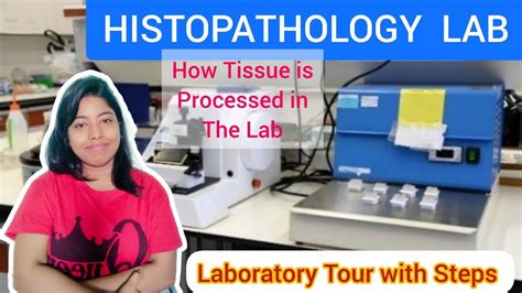 Histopathology Steps In Lab Tissue Processing Histopathology