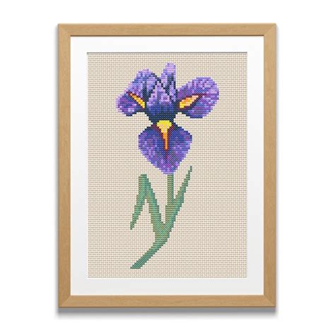 Birth Month Flower Iris February Cross Stitch Pattern Flower Embroidery