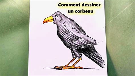 Comment Dessiner Un Corbeau Tape Par Tape Youtube