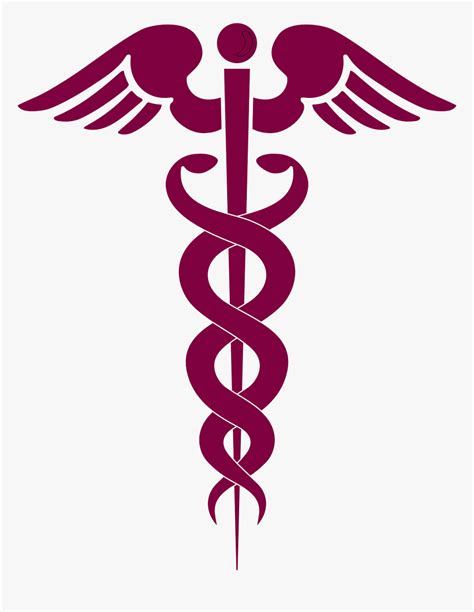 Physician Assistant Clip Art, HD Png Download - kindpng