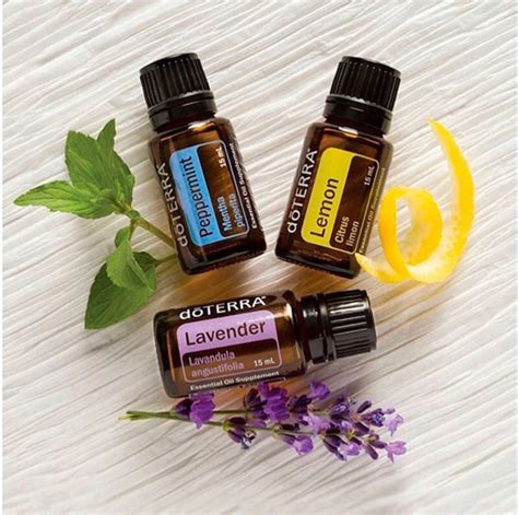 Doterra Kit Apresentação 3 Frascos De 5ml Frete Gratis Mercado Livre