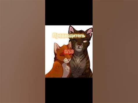 Коты-воители || Оцениваю Племена || Грозовое племя (ч3) - YouTube