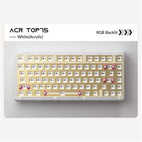 Akko ACR TOP 75 Kit RGB Hot Swappable Wired Mechanical Keyboard DIY Kit With Top Mount Structure