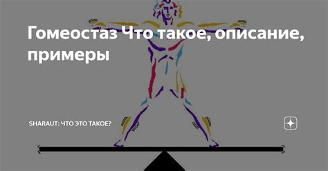 Гомеостаз Что такое, описание, примеры | SHARAUT: Что это такое? | Дзен