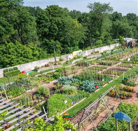 an aerial view of a garden with lots of green plants and trees in the ...