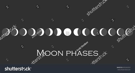 Phases Moon Whole Cycle New Moon Stock Vector (Royalty Free) 655263523 ...