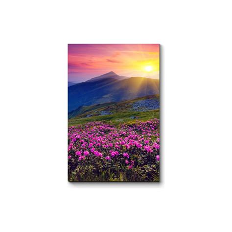 Розовые рододендроны в горах Picsis 3102-9975014 - выгодная цена ...