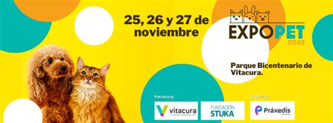 Universidad Cat Lica On Twitter Rt Medvetuc Este Y De