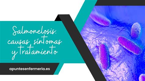 Salmonelosis causas síntomas y tratamiento Apuntes enfermería