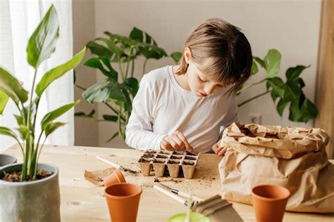 Crea un huerto de plantas aromáticas con niños en casa El Blog de Rocalba