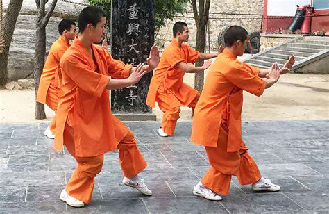 Tuto Cours Les Positions De Base Du Kung Fu Shaolin Vocabulaire Et