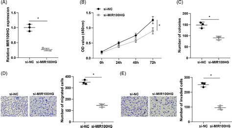 Figure 2 From Lncrna Mir100hg Affects The Proliferation And Metastasis