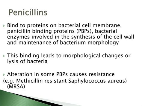 Principles Of Antimicrobial Therapy Pharmacology Ppt