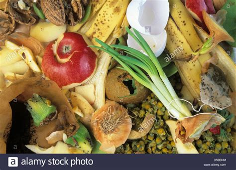 Biodegradable Waste High Resolution Stock Photography and Images - Alamy