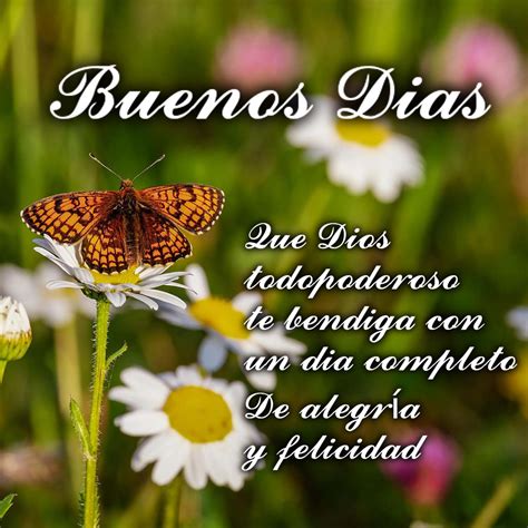 Total Imagen Imagenes De Buenos Dias Hermosas Con Frases Abzlocal Mx