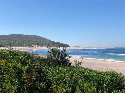 Stunning sandy beach - Fingal Bay Beach, Fingal Bay Traveller Reviews ...