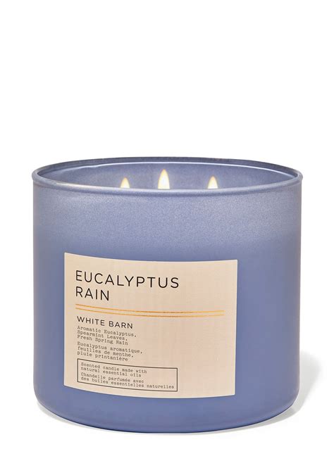 Eucalyptus Rain Wick Candle Bath And Body Works