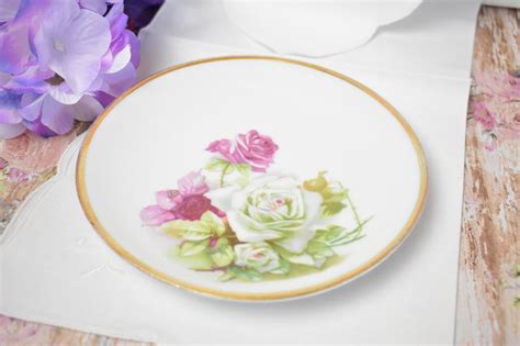 Vintage Plate C T Altwasser Silesia Vintage Porcelain Etsy