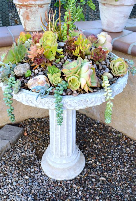 How To Create A Succulent Birdbath Planter My Uncommon Slice Of Suburbia