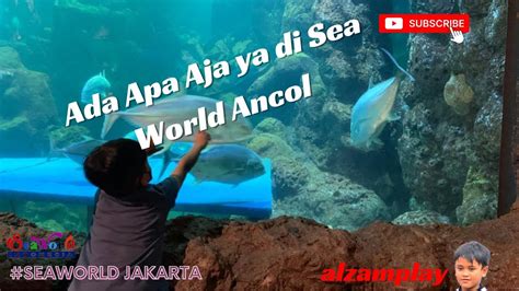 Serunya Main Di Aquarium Raksasa Seaworld Alzamplay Youtube