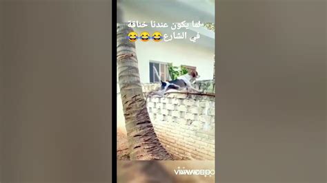 لما يكون عندنا خناقة في الشارع 😂😂😂 Youtube