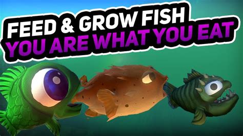 Fish Feed And Grow Xbox Feed And Grow Fish How To Play Survival Mode