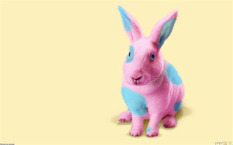 Pink Bunny Wallpaper - WallpaperSafari