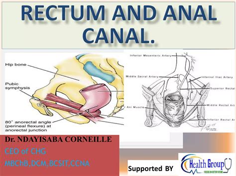 Rectum And Anal Canal Pptx