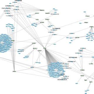 Drug Gene Interaction Network Note The Blue Hexagon And Green Circle