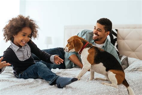 Can A Child Be Allergic To Dog Saliva
