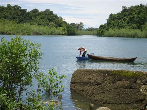 Unesco Designates 11 New Biosphere Reserves Asia Pacific Boating