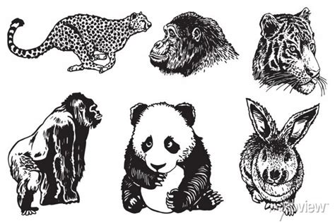 Graphical big set of wild animals isolated on white background,vector ...