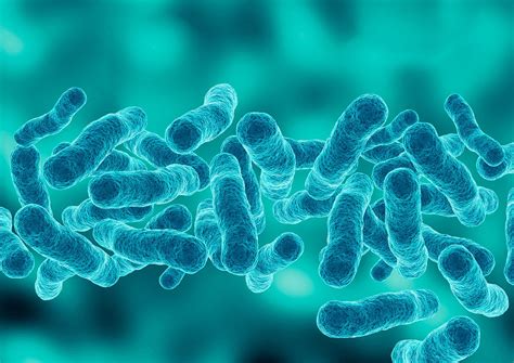 Legionnaires Disease Outbreak In Poland 16 Dead Over 150 Cases